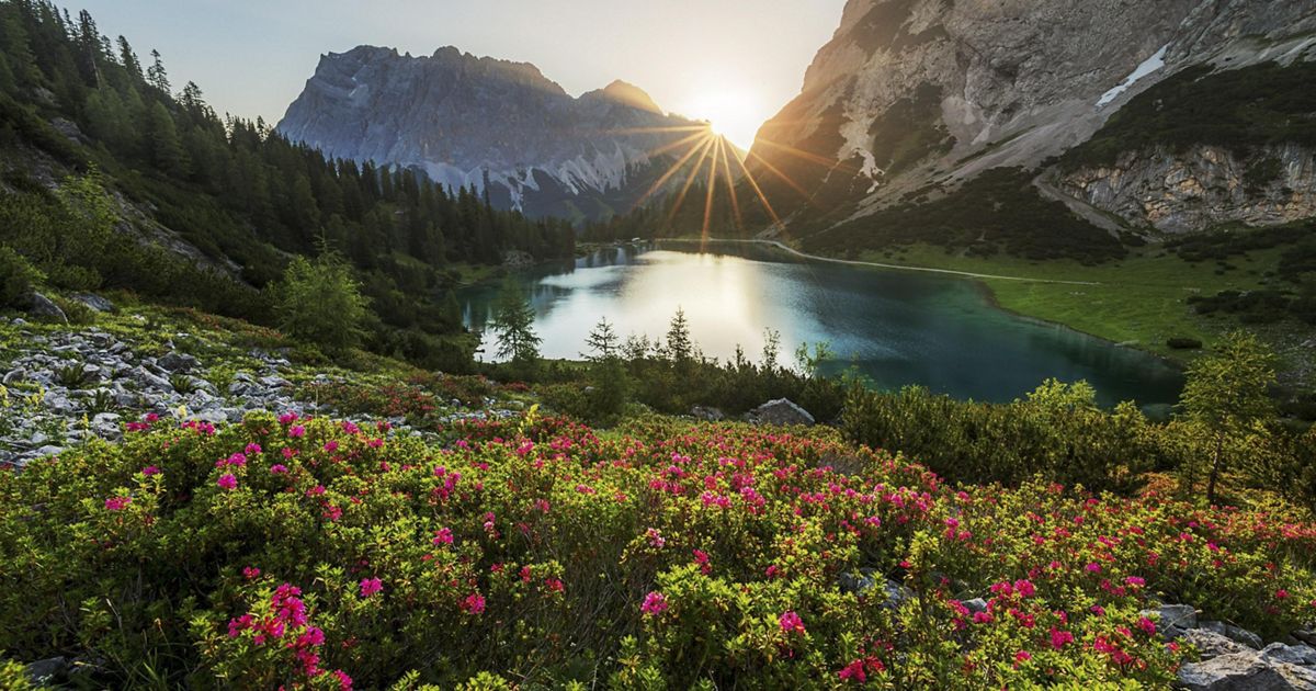 Harmony with Nature: The Missing Piece in Peacebuilding